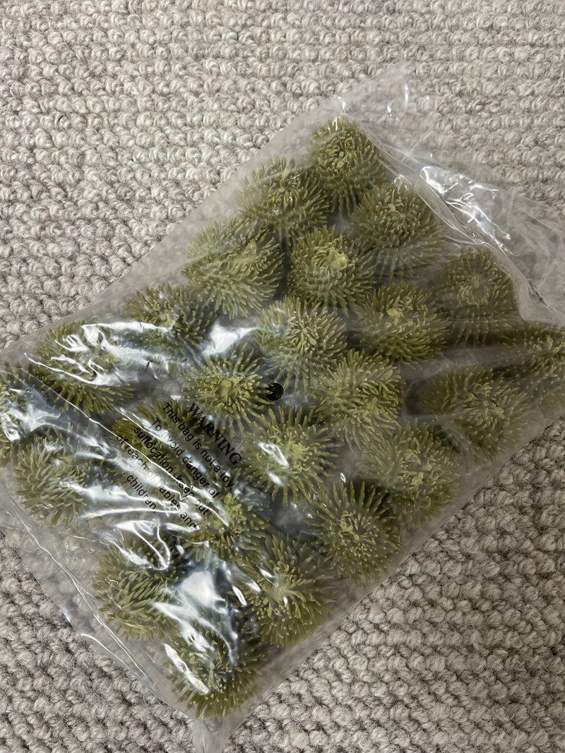 Bag of 24 Echinops Balls
