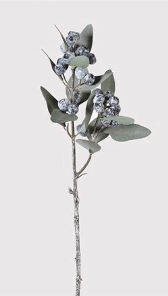 Eucalyptus blue berry spray