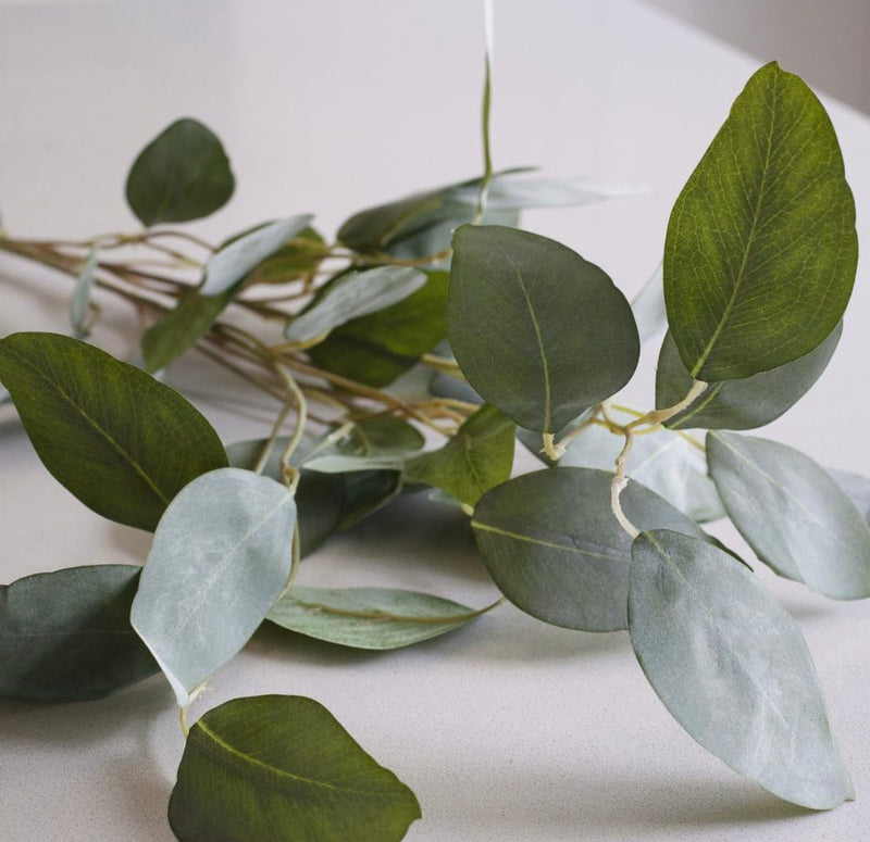 Silver dollar eucalyptus spray