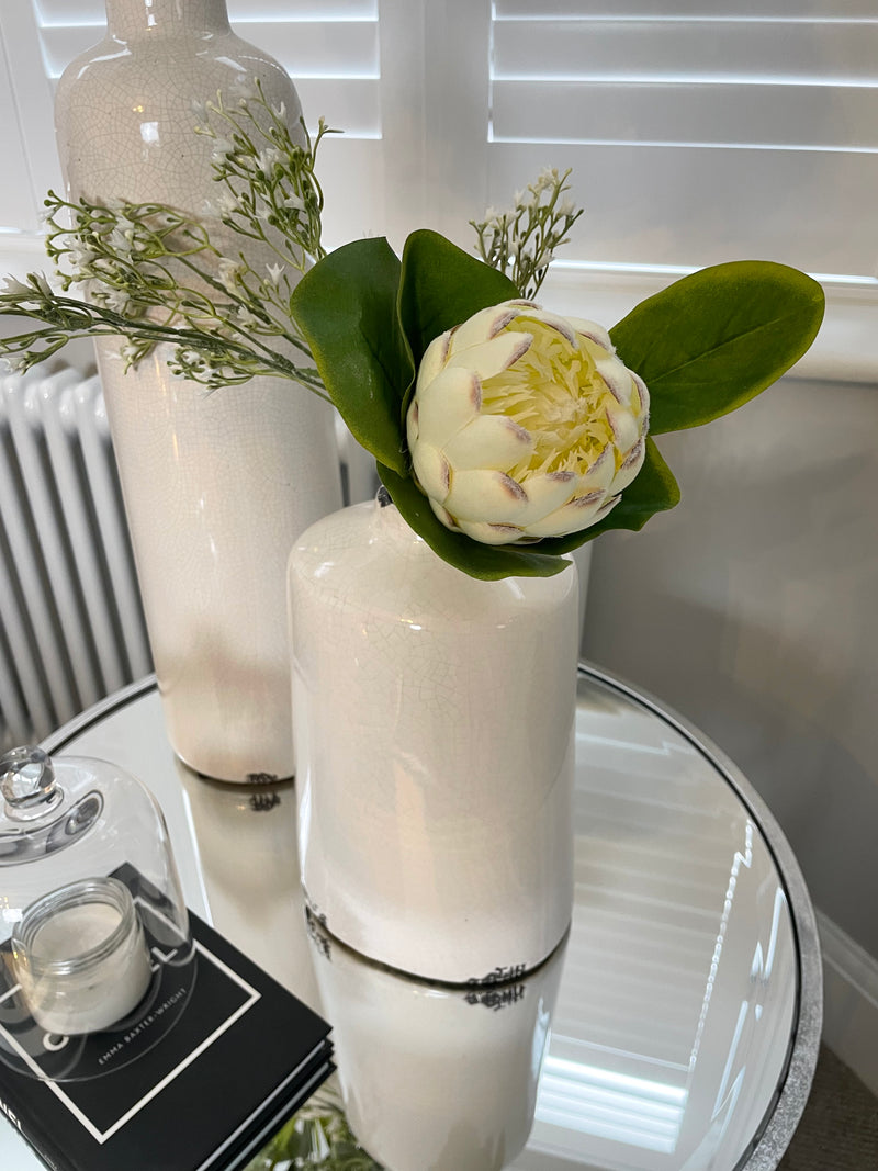 Off white closed protea stem