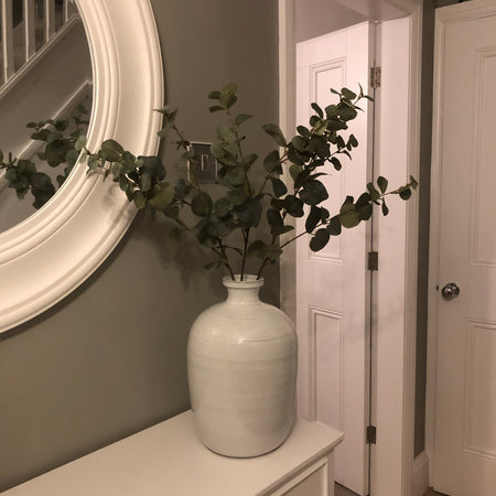 Natural eucalyptus spray stem