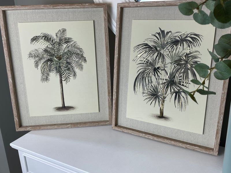 Set of two framed Palm prints