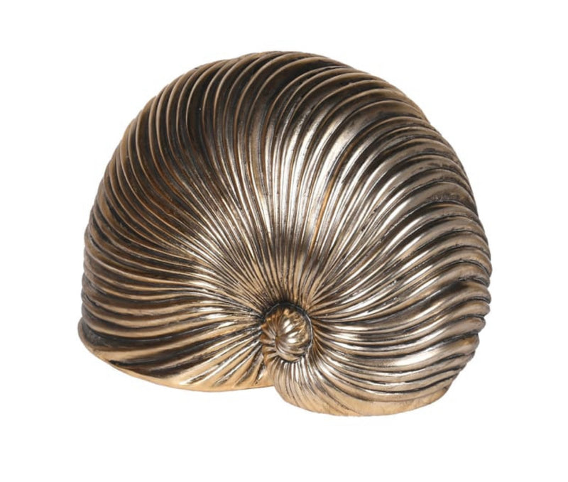 Gold sea snail shell ornament