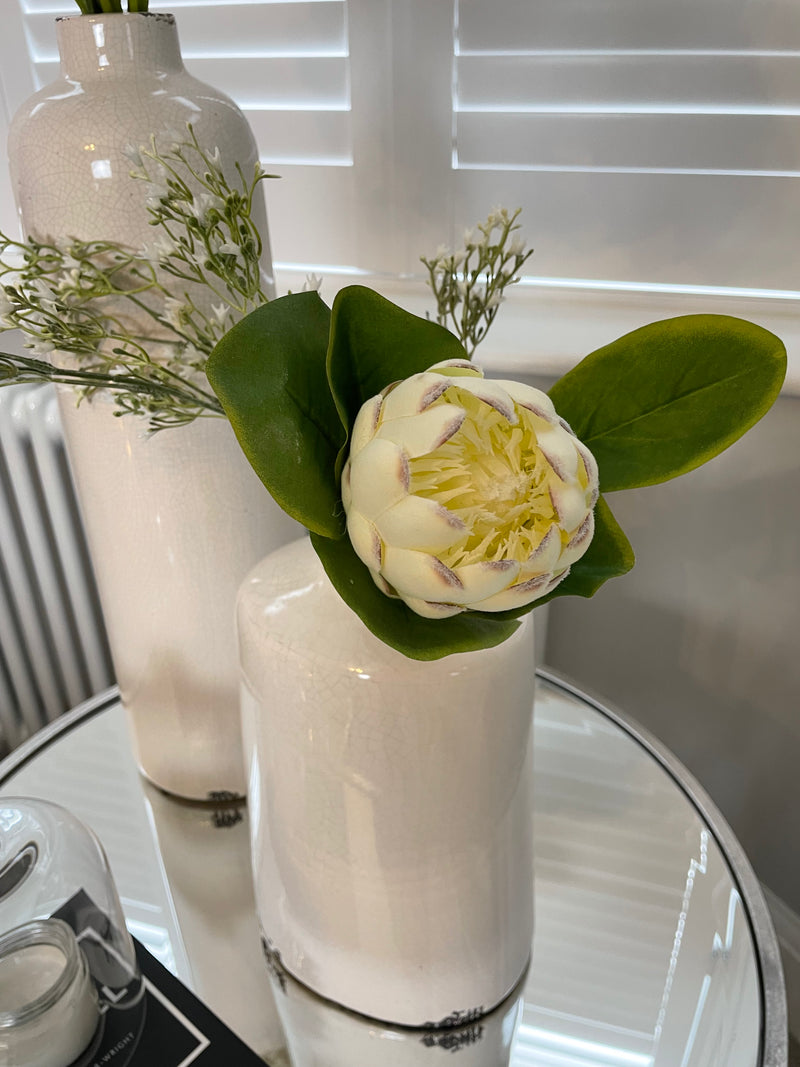 Off white closed protea stem
